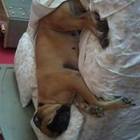 Renee Mcdowell Photo 19