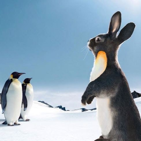 Marie Peltier Photo 12