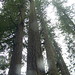 Francis Schrader Photo 10