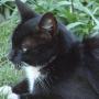 Kathy Joyce Photo 49