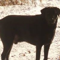 Colleen Archer Photo 26