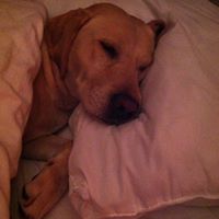 Mitchell Jacobs Photo 17