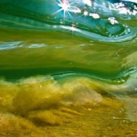 Gary Simpson Photo 32