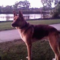 Tim Hill Photo 56 Tim Hill Photo 56