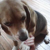 Mia Mitchell Photo 11