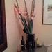 Allyson Flowers Photo 4