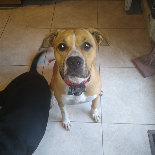 Dana Lester Photo 22