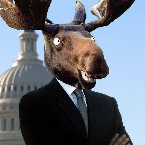 John Moses Photo 20 John Moses Photo 20