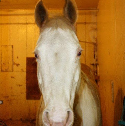 Terry Summers Photo 38