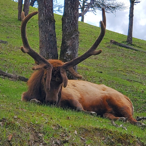 Emma Thompson Photo 33