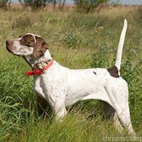 Christine Carnahan Photo 13