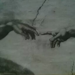 Roderick Jenkins Photo 8