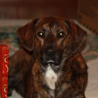 Larry Godfrey Photo 31