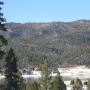 Gilbert Aguilar Photo 19