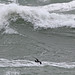 Sandy Leach Photo 36