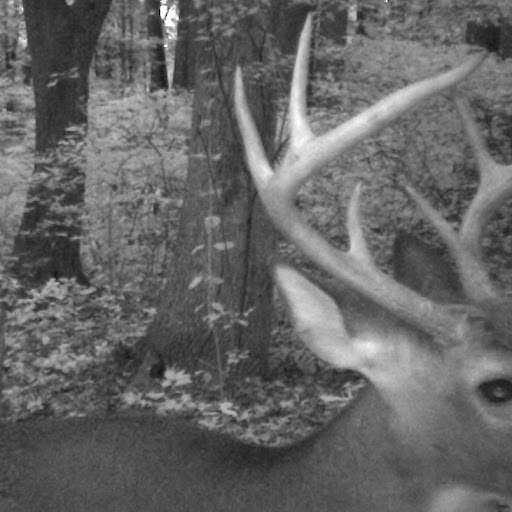 Larry Tolbert Photo 22