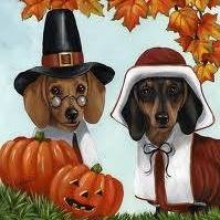 Teresa Lindsey Photo 12