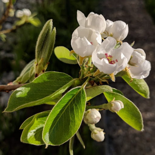 Ruth Burkhart Photo 12