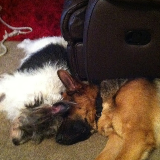 Sharon Duffy Photo 21