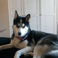 Helen Potts Photo 14