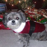 Debbie Ritter Photo 10