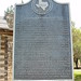 Mary Gaines Photo 10