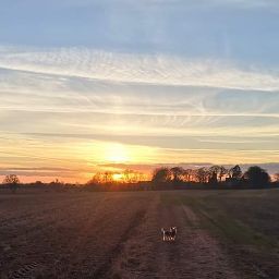 Jane Barnett Photo 38