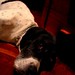 Terry Estes Photo 15