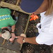 Paula Saunders Photo 11
