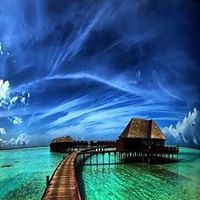 Tracy Newton Photo 14