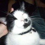 Elizabeth Kohl Photo 14