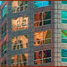 Susan Towers Photo 14
