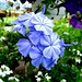 Donna Owens Photo 9