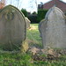 Susan Cross Photo 38