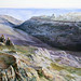 Robert Lear Photo 9