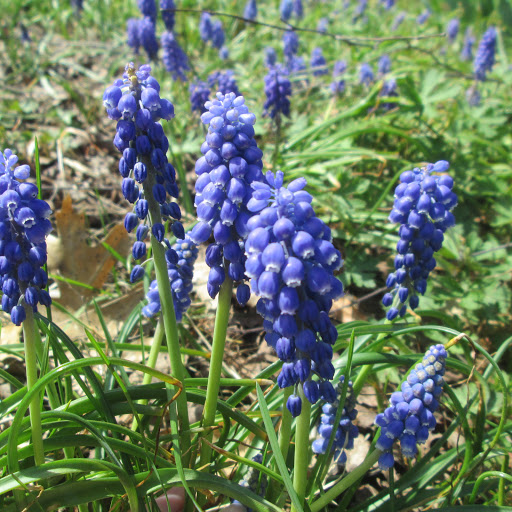 Stephanie Carroll Photo 7