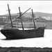 Elizabeth Sunderland Photo 15