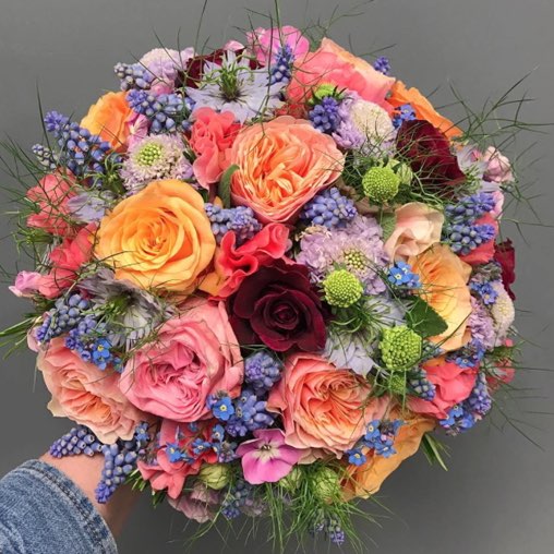 Lindsey Kelly Photo 4