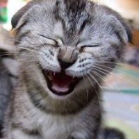 Dorothy Gamble Photo 12