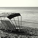 Margarita Borges Photo 9