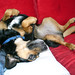 Kelly Hash Photo 20