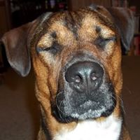 Charlie Brown Photo 42