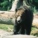Diane Danielson Photo 39