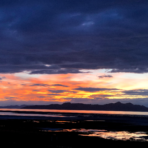 Angela Green Photo 6