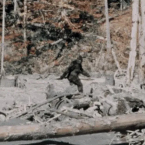 Anthony Reynolds Photo 34