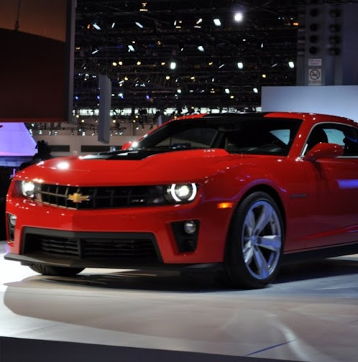 Michael Ortiz Photo 50 Michael Ortiz Photo 50