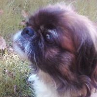 Catherine Best Photo 25