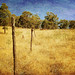 Joe Klassen Photo 10