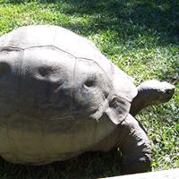 Kent Swanson Photo 19