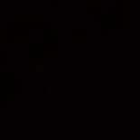 Eduardo Roman Photo 11